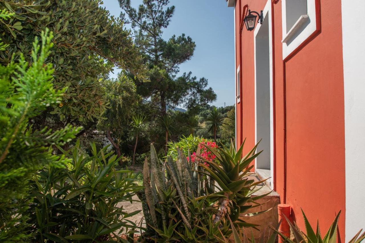Apartmán Arpyia Vasilikí Exteriér fotografie